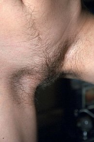 Unshaven Hairy Cunt Pic