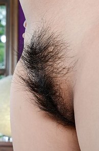 Wild Pubes On Her Sweet Asian Mound Being Viewed Up Close Pic