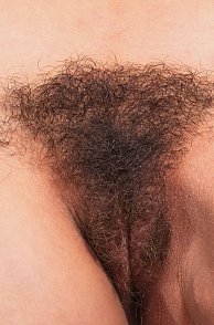 Up Close Hairy Latina Pussy Pic