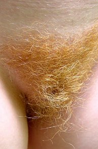 Close Up Pic Of Curly Redhead Pubes