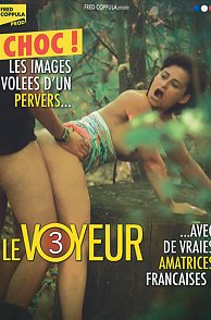 Watch Le Voyeur 3 Movie at Erotic To Naughty Theater